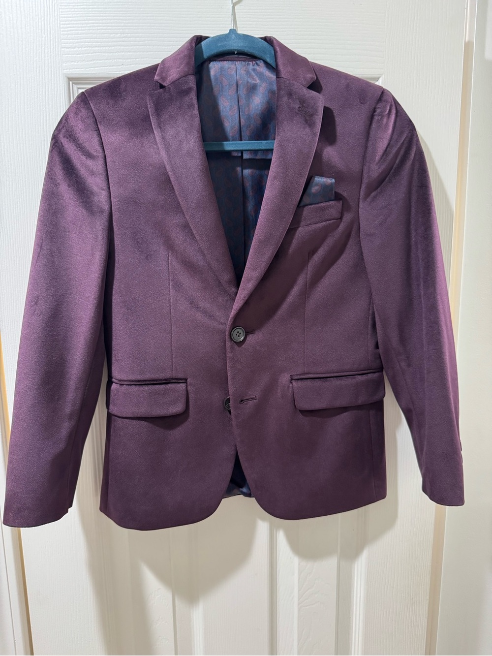 Lauren Ralph Lauren Deep Velvet Blazer in Deep Plum